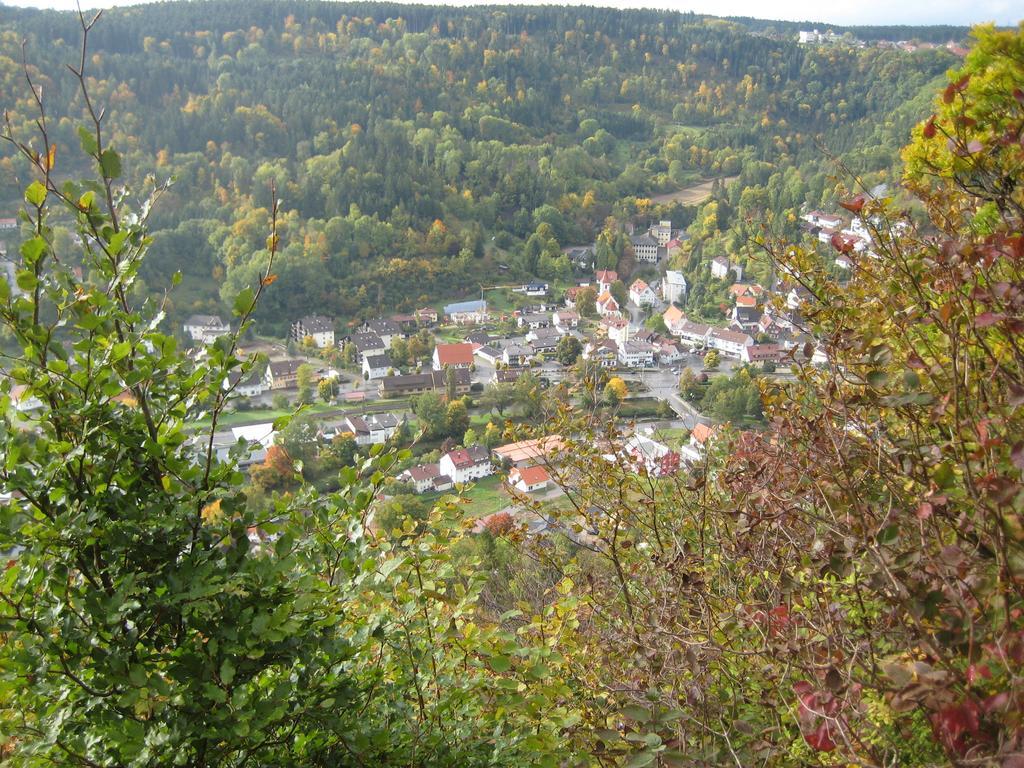 Gaestehaus Krone Oberndorf am Neckar 객실 사진